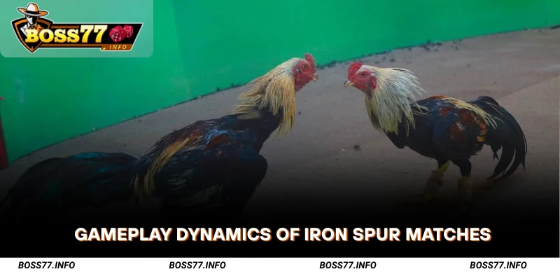 Gameplay-Dynamics-of-Sabong-with-Iron-Spur-Matches
