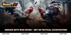 Sabong-with-Iron-Spurs