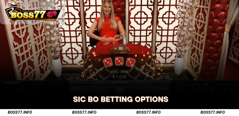 Sic-Bo-Betting-Options