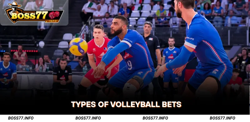 Types-of-Volleyball-Betting