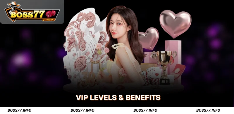 Boss77-VIP-Program-Levels-and-Benefits