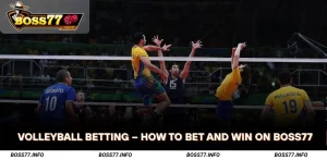 Volleyball-Betting