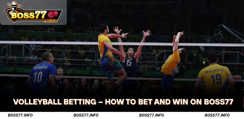 Volleyball-Betting