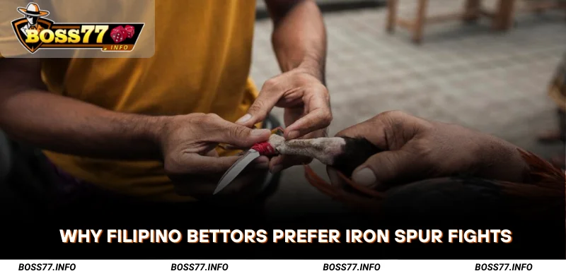 Why-Filipino-Bettors-Prefer-Sabong-with-Iron-Spurs
