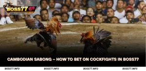 cambodian-sabong