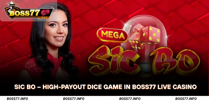 sic-bo-live-casino